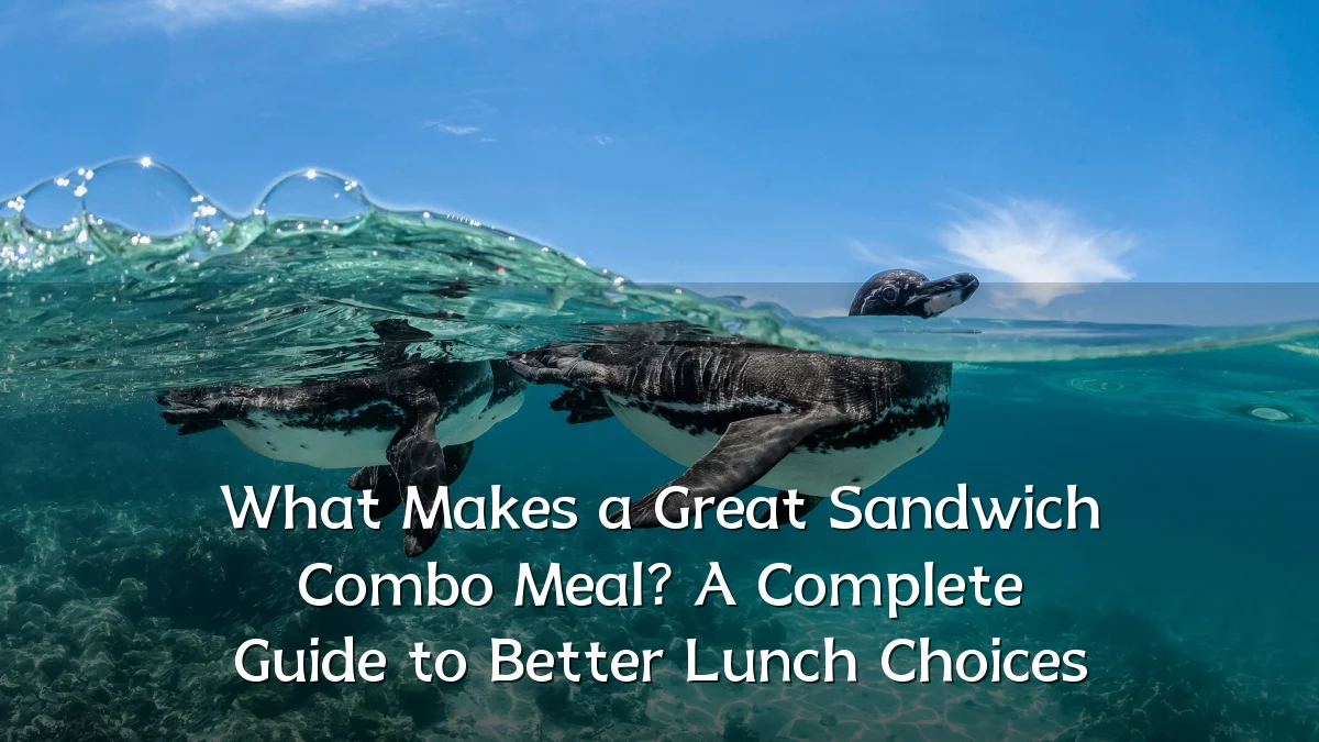 What Makes a Great Sandwich Combo Meal? A Complete Guide to Better Lunch Choices