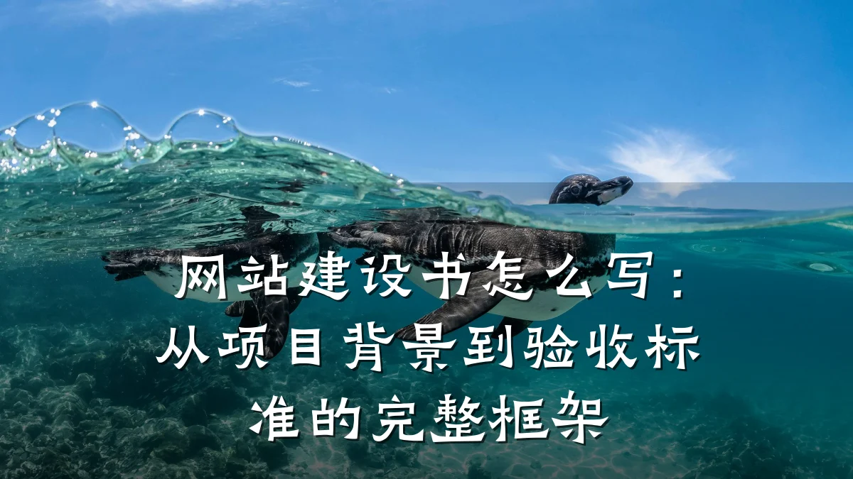 网站建设书怎么写：从项目背景到验收标准的完整框架