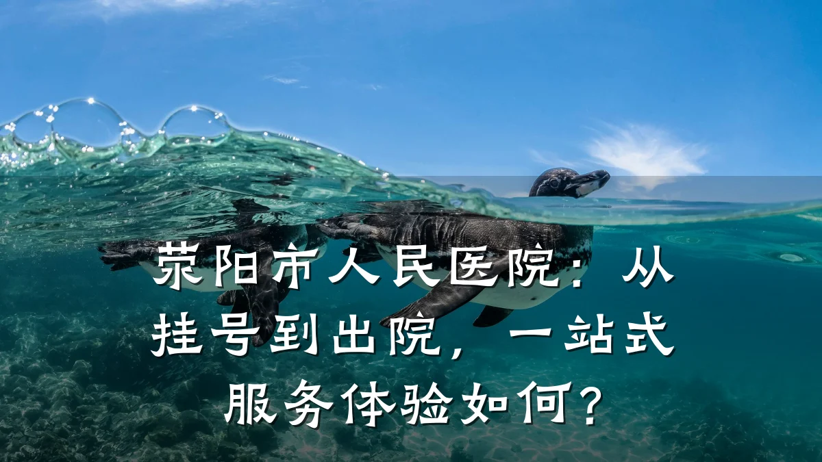 荥阳市人民医院：从挂号到出院，一站式服务体验如何？