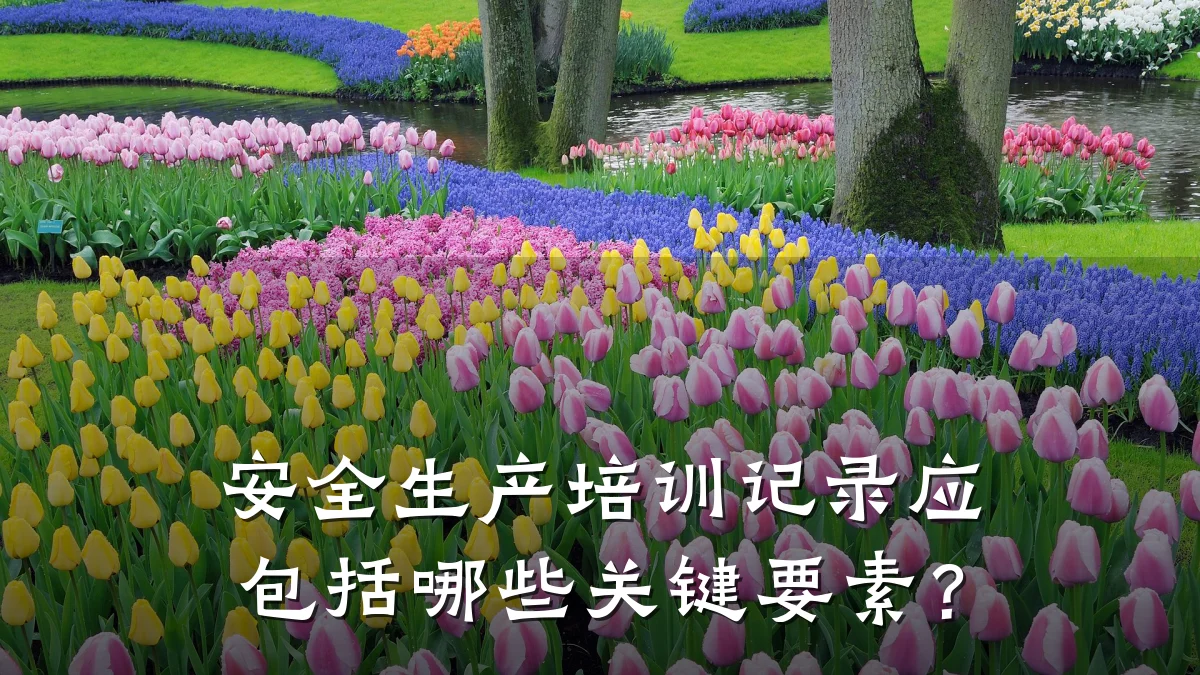 安全生产培训记录应包括哪些关键要素?