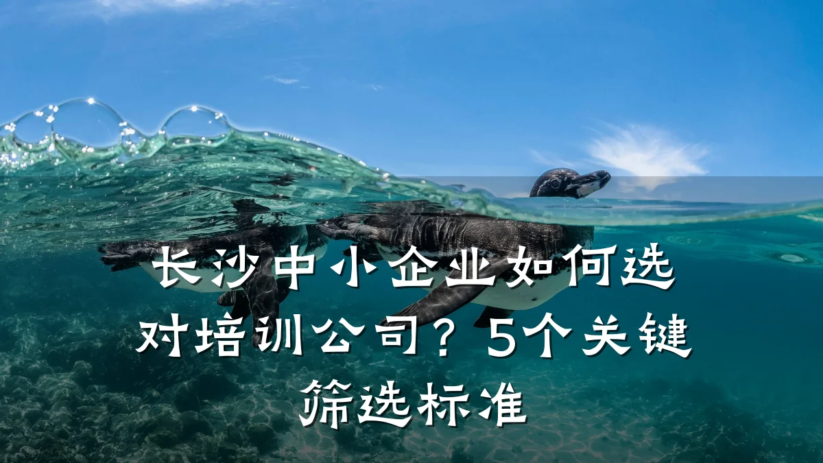 长沙中小企业如何选对培训公司?5个关键筛选标准