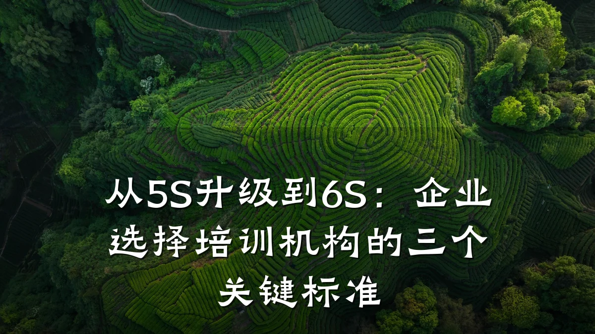 从5S升级到6S:企业选择培训机构的三个关键标准