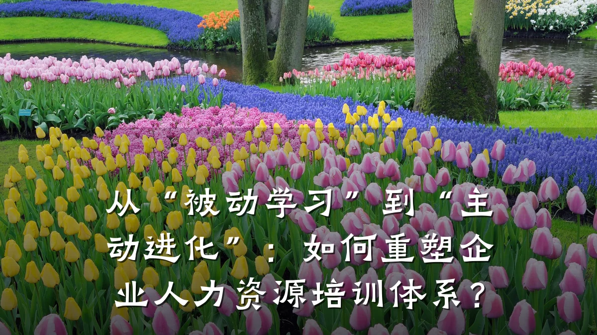 从“被动学习”到“主动进化”:如何重塑企业人力资源培训体系?