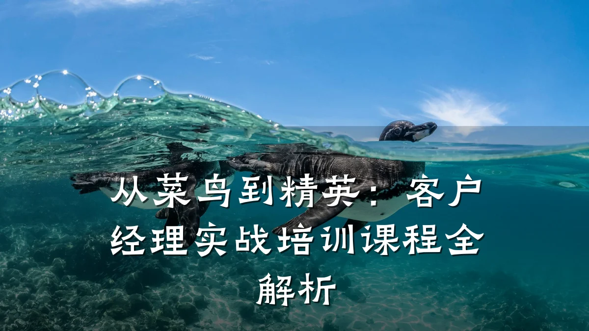 从菜鸟到精英:客户经理实战培训课程全解析