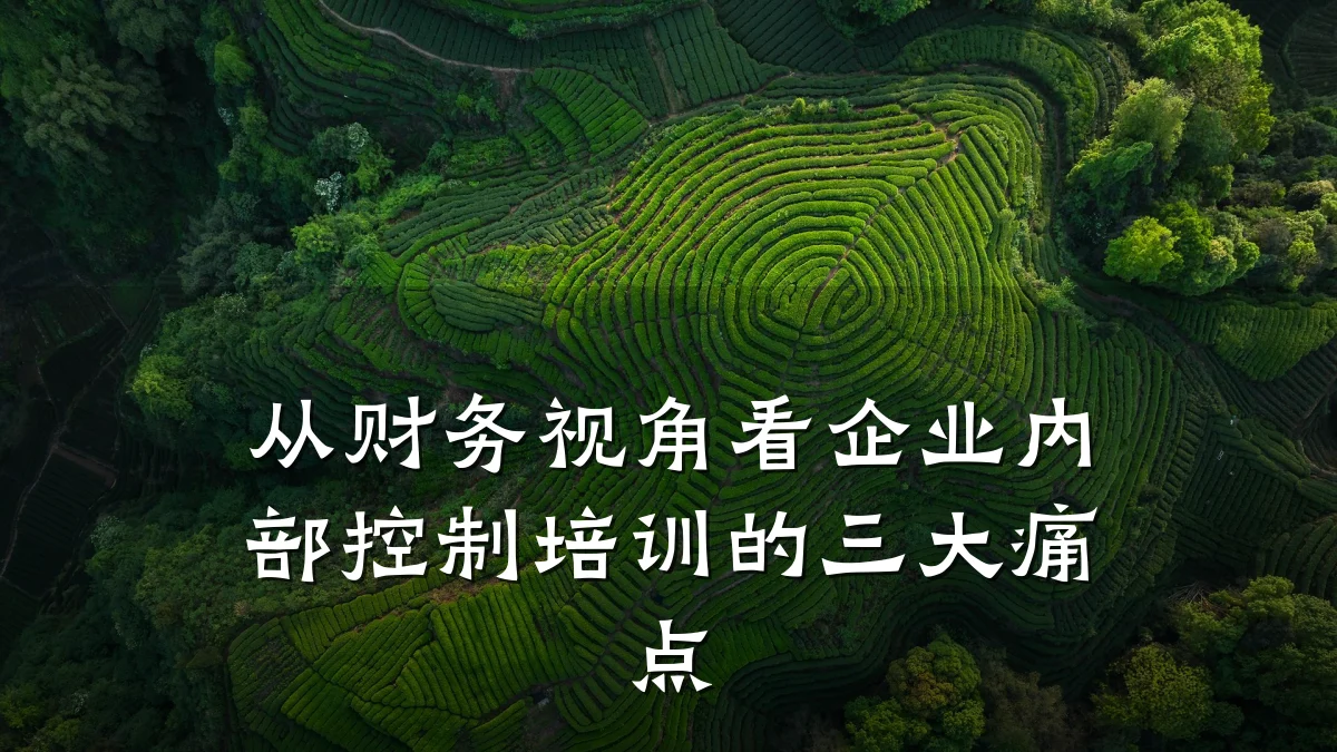 从财务视角看企业内部控制培训的三大痛点
