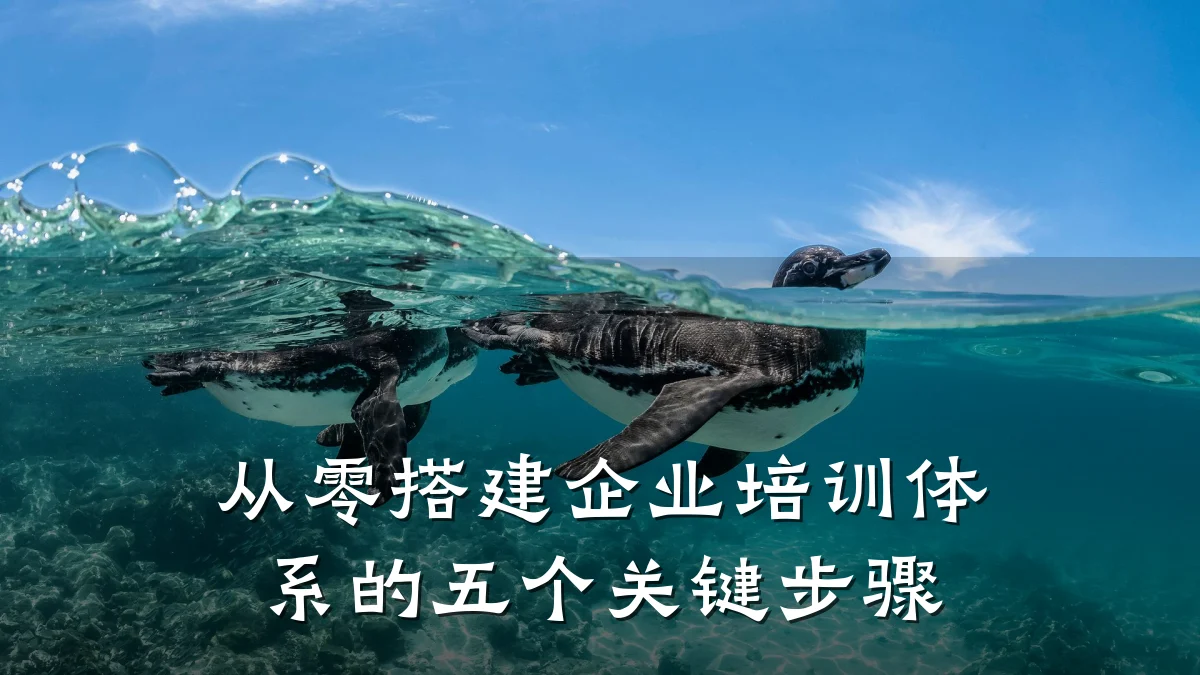 从零搭建企业培训体系的五个关键步骤