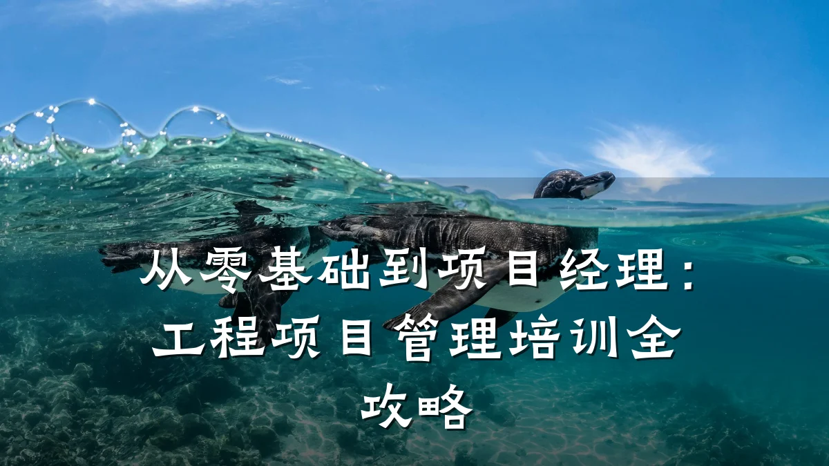 从零基础到项目经理:工程项目管理培训全攻略