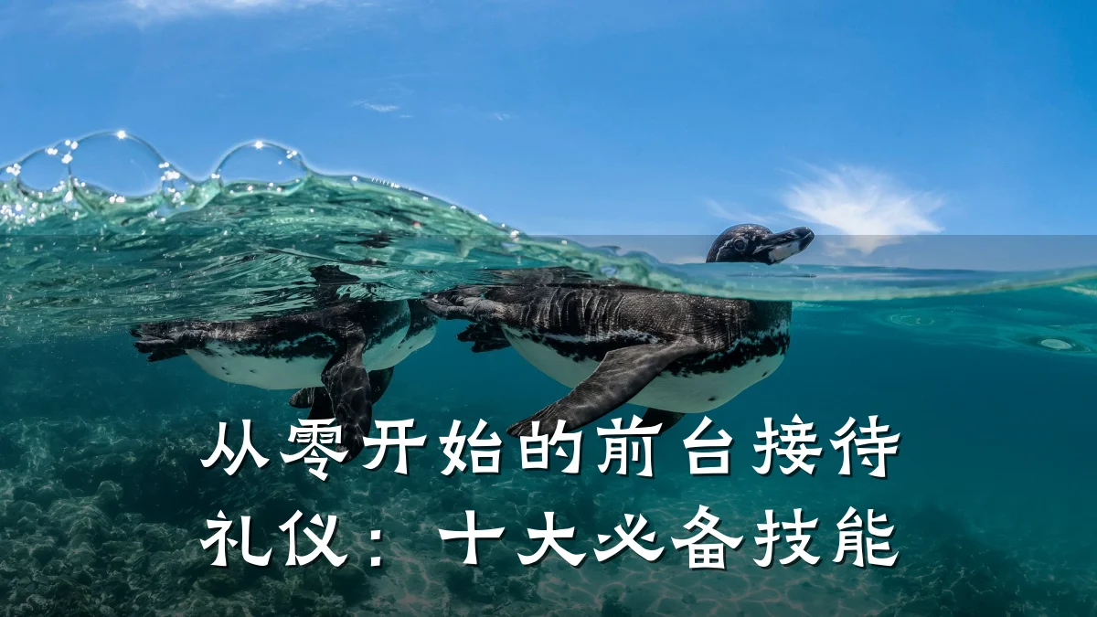 从零开始的前台接待礼仪:十大必备技能