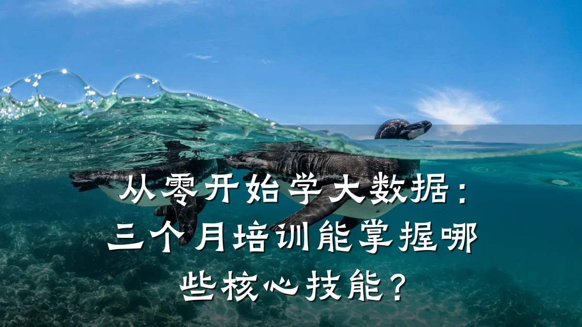 从零开始学大数据:三个月培训能掌握哪些核心技能?