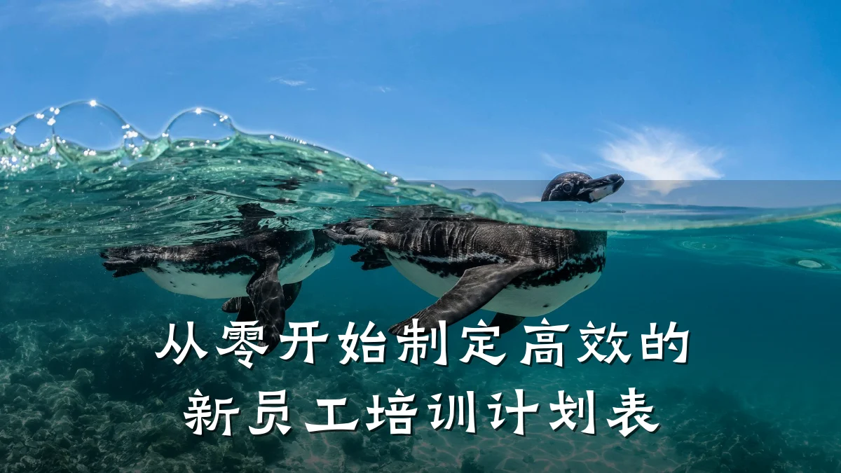 从零开始制定高效的新员工培训计划表