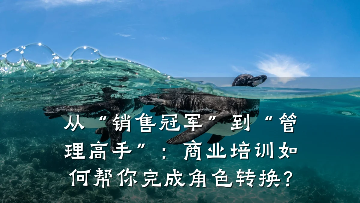 从“销售冠军”到“管理高手”:商业培训如何帮你完成角色转换?