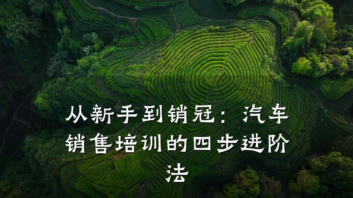 从新手到销冠:汽车销售培训的四步进阶法