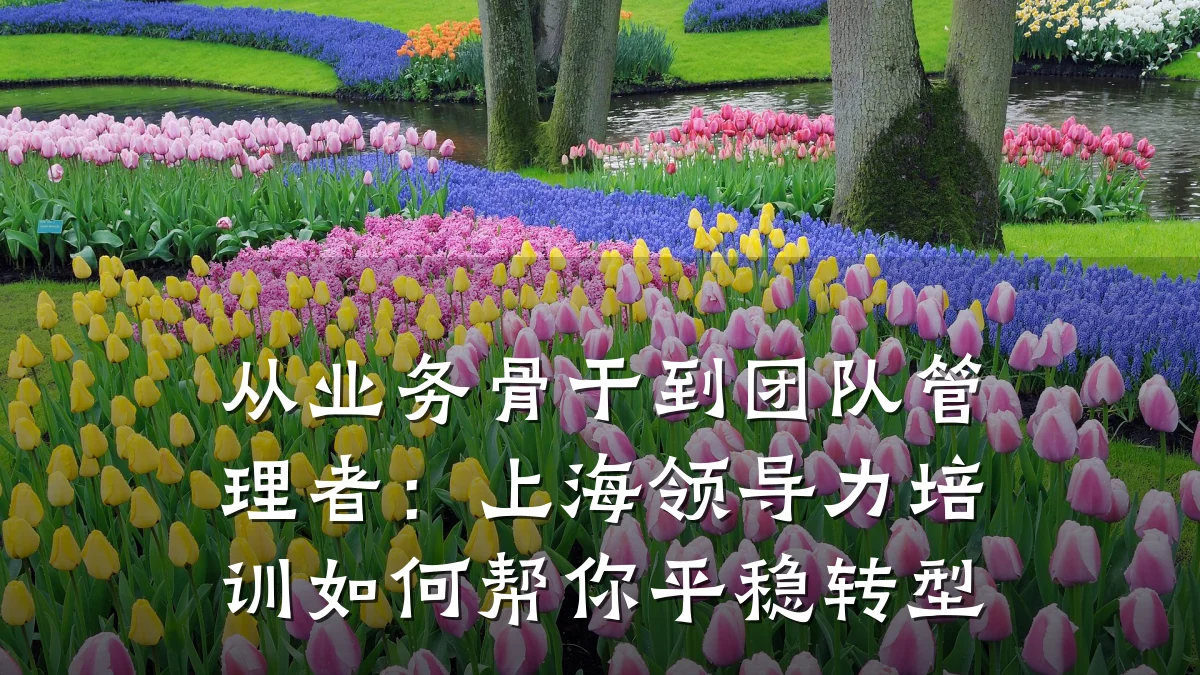 从业务骨干到团队管理者：上海领导力培训如何帮你平稳转型