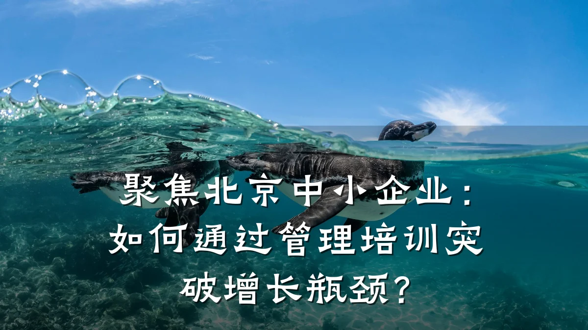 聚焦北京中小企业:如何通过管理培训突破增长瓶颈?