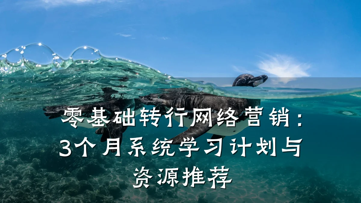 零基础转行网络营销:3个月系统学习计划与资源推荐