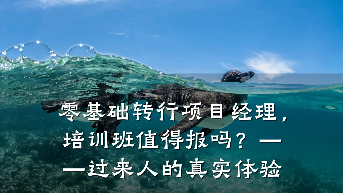 零基础转行项目经理,培训班值得报吗?——过来人的真实体验