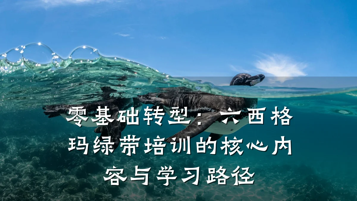 零基础转型:六西格玛绿带培训的核心内容与学习路径
