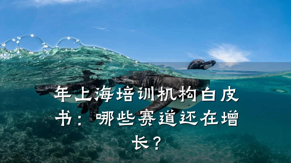 年上海培训机构白皮书:哪些赛道还在增长?