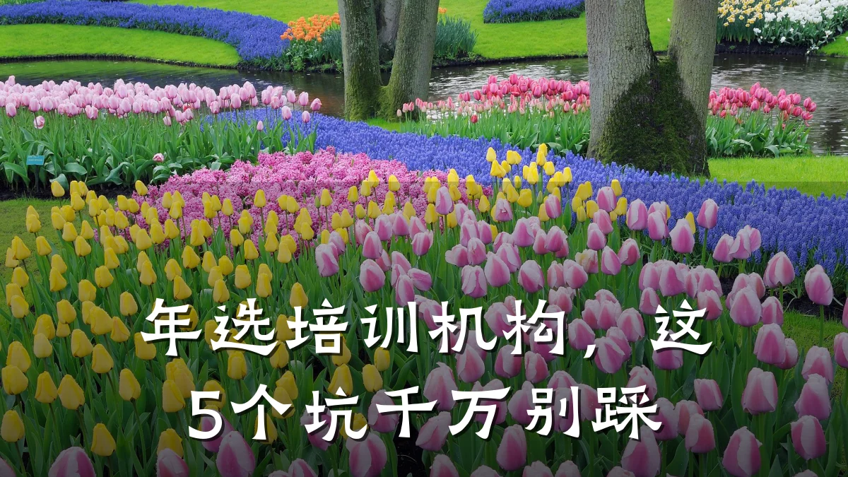 年选培训机构,这5个坑千万别踩