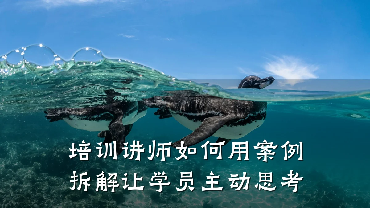 培训讲师如何用案例拆解让学员主动思考