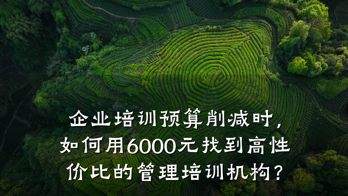 企业培训预算削减时,如何用6000元找到高性价比的管理培训机构?