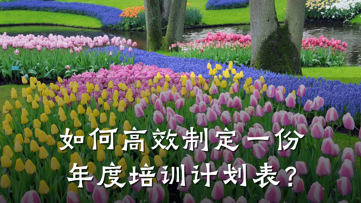 如何高效制定一份年度培训计划表?