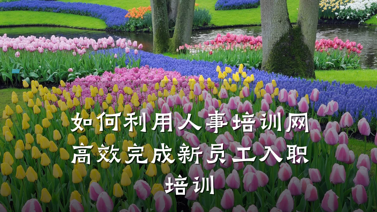 如何利用人事培训网高效完成新员工入职培训