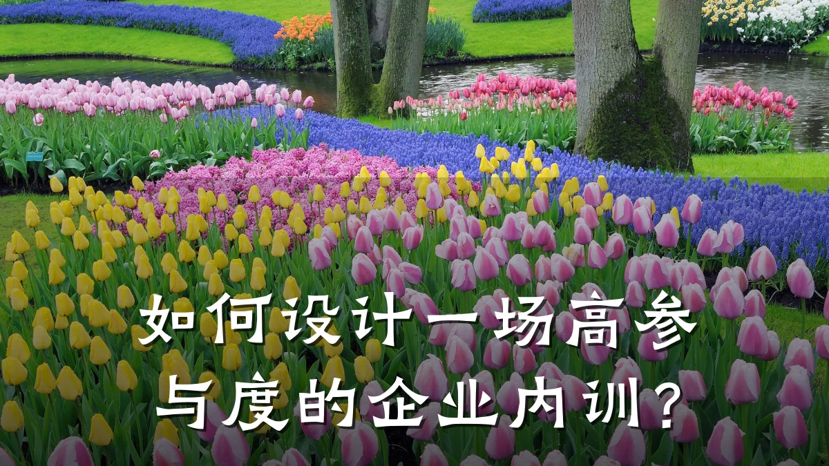 如何设计一场高参与度的企业内训?