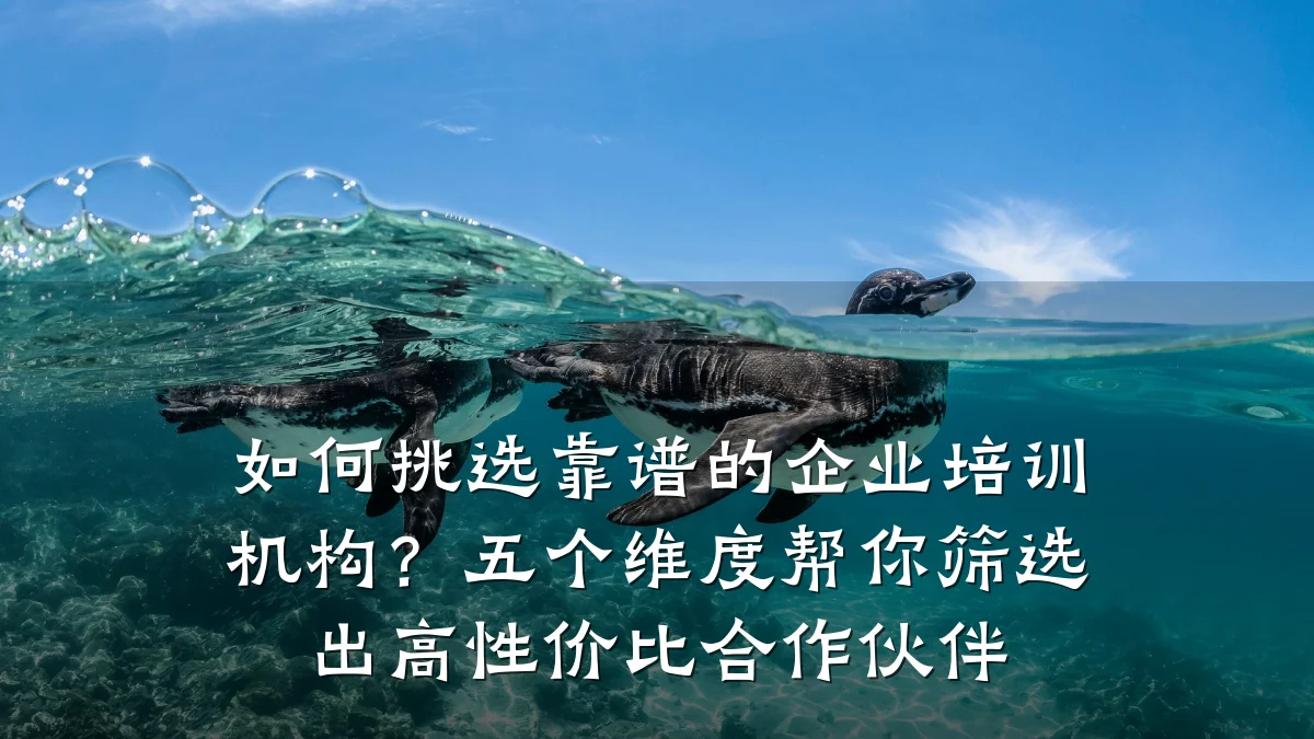 如何挑选靠谱的企业培训机构?五个维度帮你筛选出高性价比合作伙伴