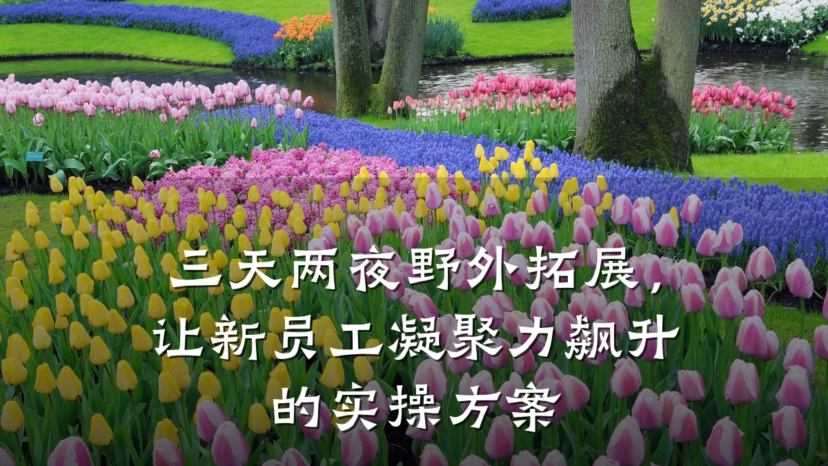 三天两夜野外拓展,让新员工凝聚力飙升的实操方案
