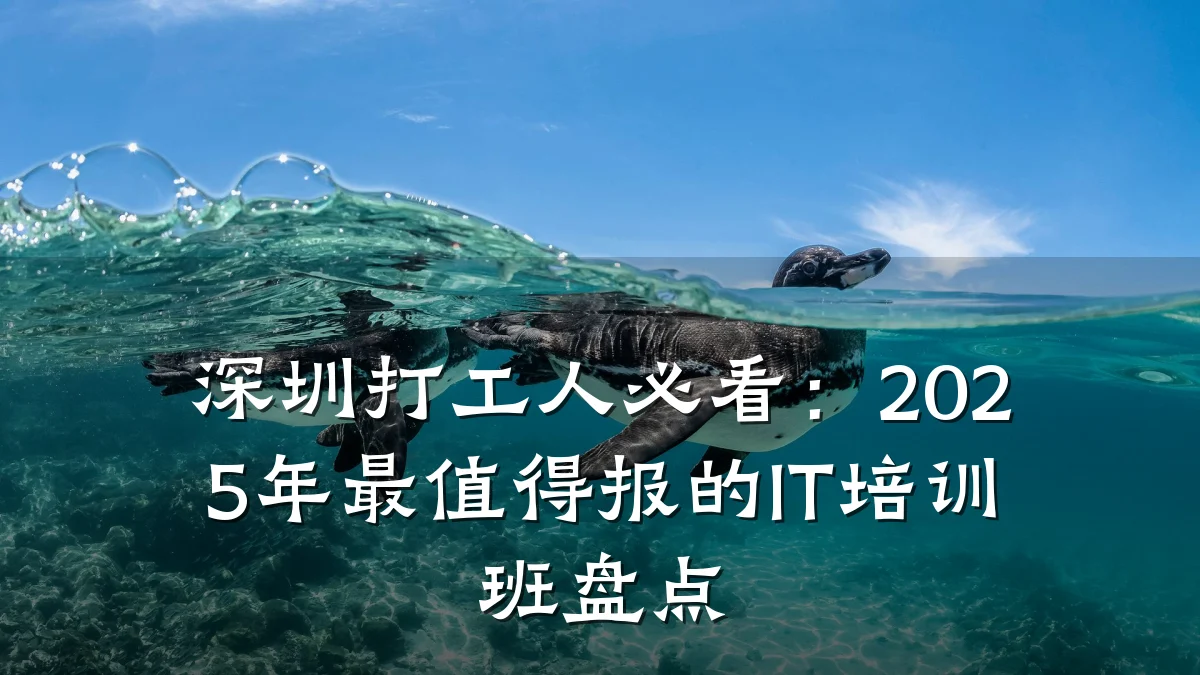 深圳打工人必看:2025年最值得报的IT培训班盘点