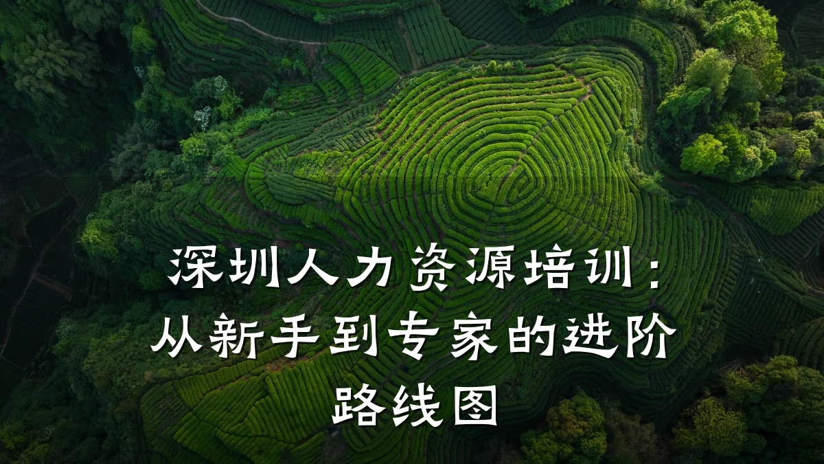 深圳人力资源培训:从新手到专家的进阶路线图