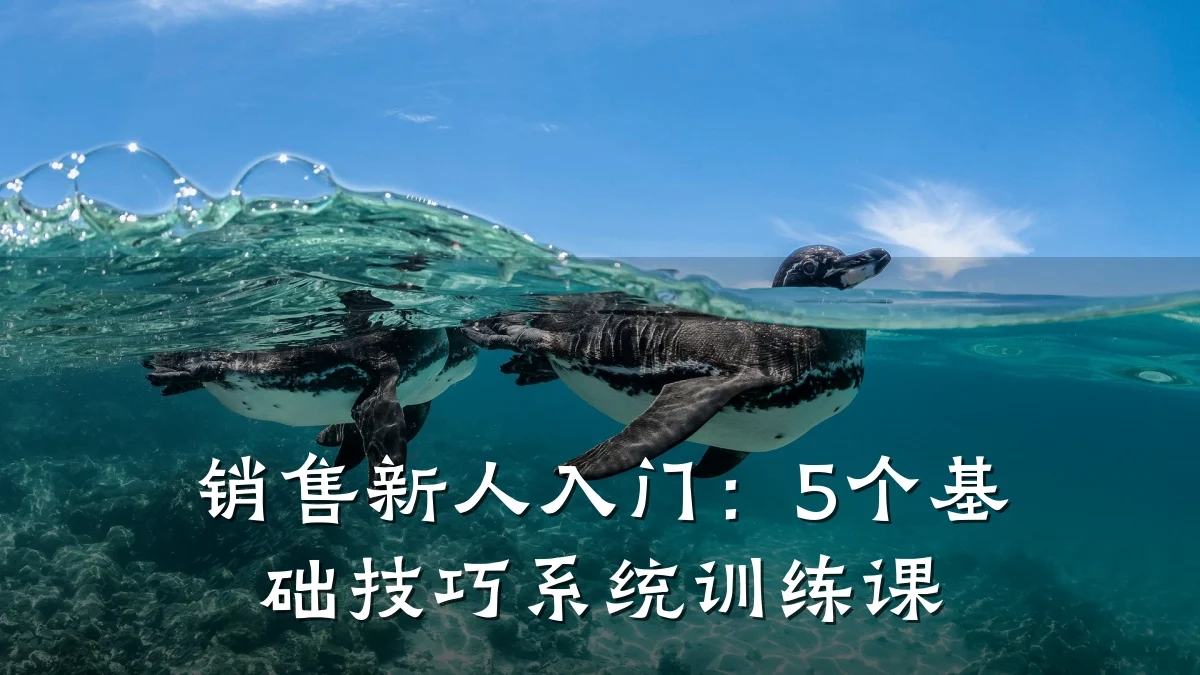 销售新人入门:5个基础技巧系统训练课