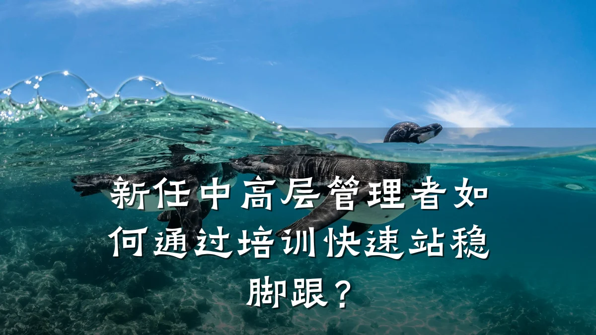 新任中高层管理者如何通过培训快速站稳脚跟？
