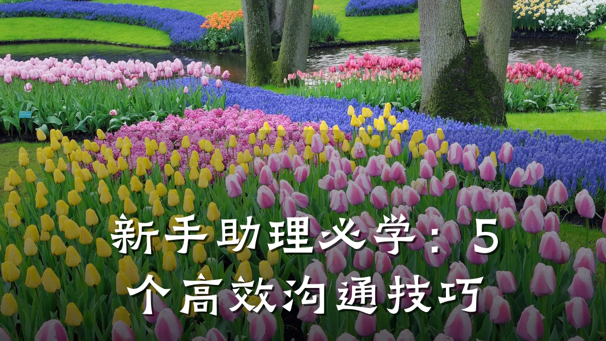 新手助理必学:5个高效沟通技巧