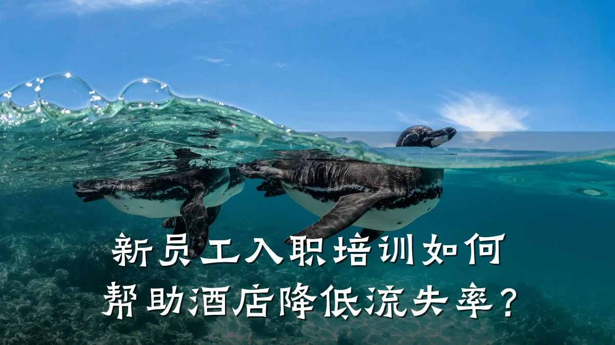 新员工入职培训如何帮助酒店降低流失率?