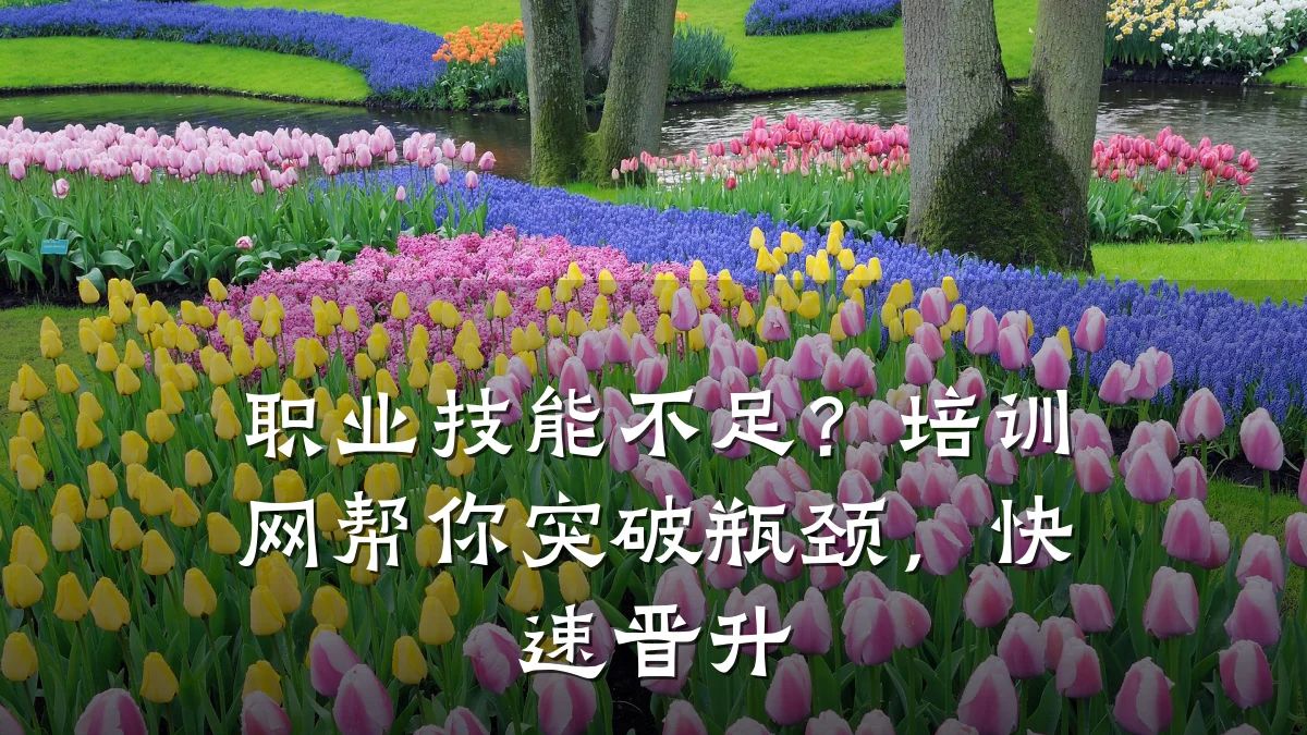 职业技能不足?培训网帮你突破瓶颈,快速晋升