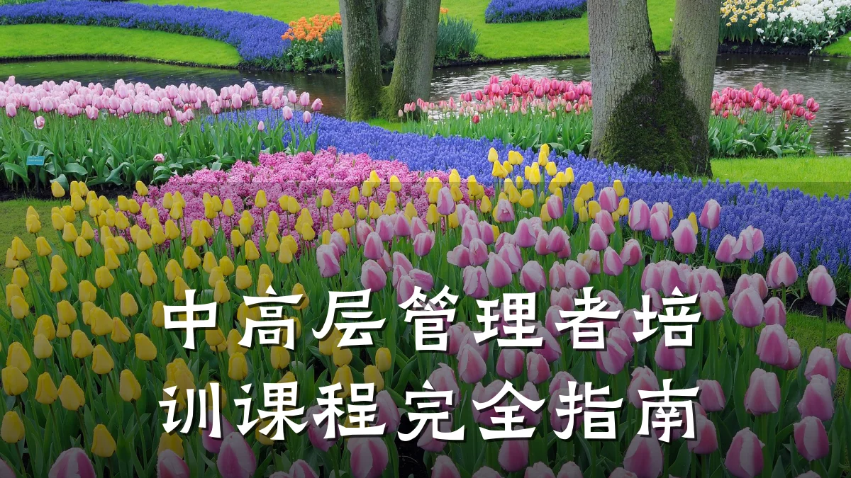中高层管理者培训课程完全指南