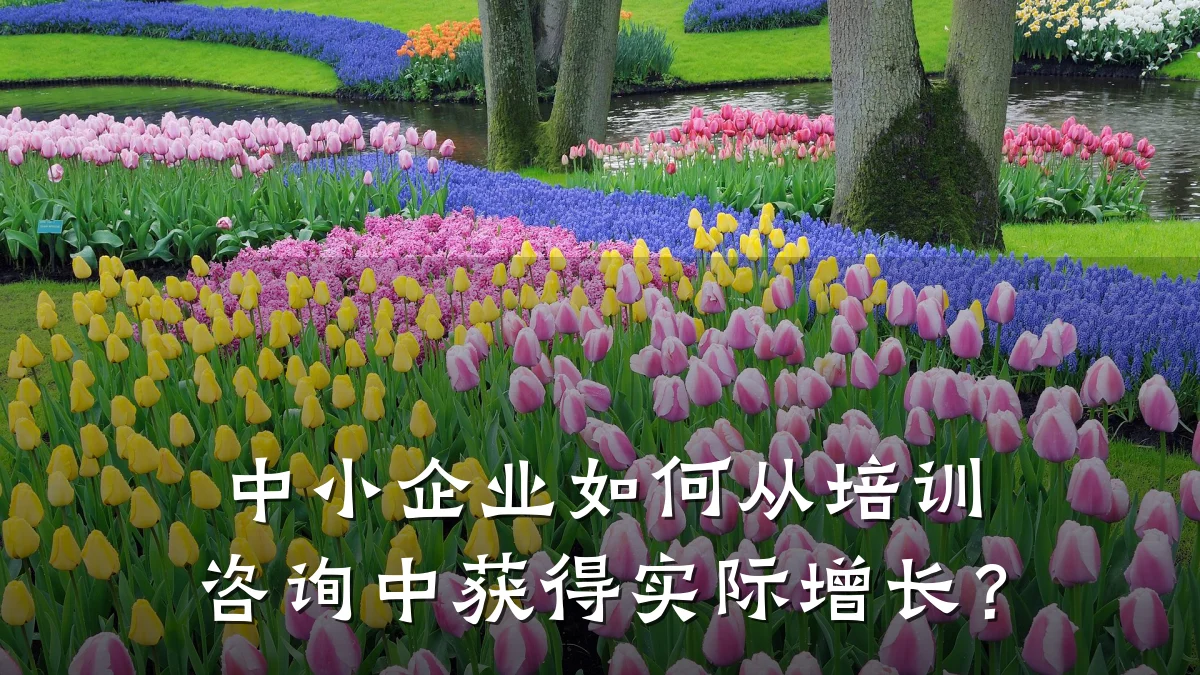 中小企业如何从培训咨询中获得实际增长?