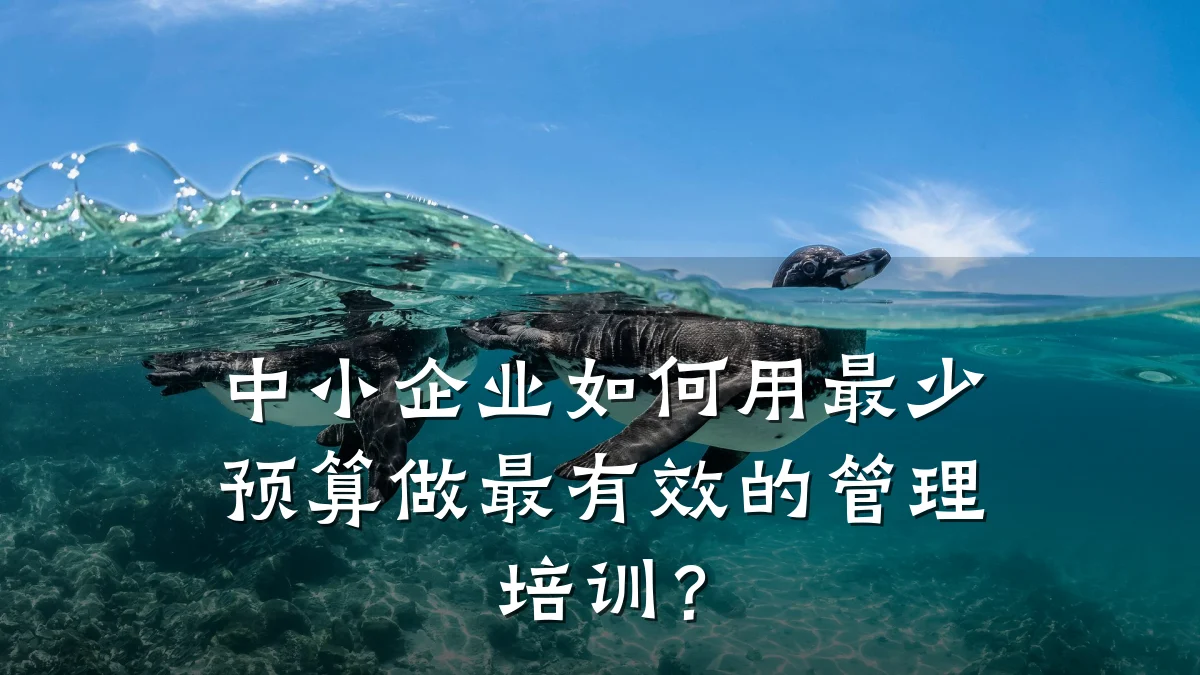 中小企业如何用最少预算做最有效的管理培训?