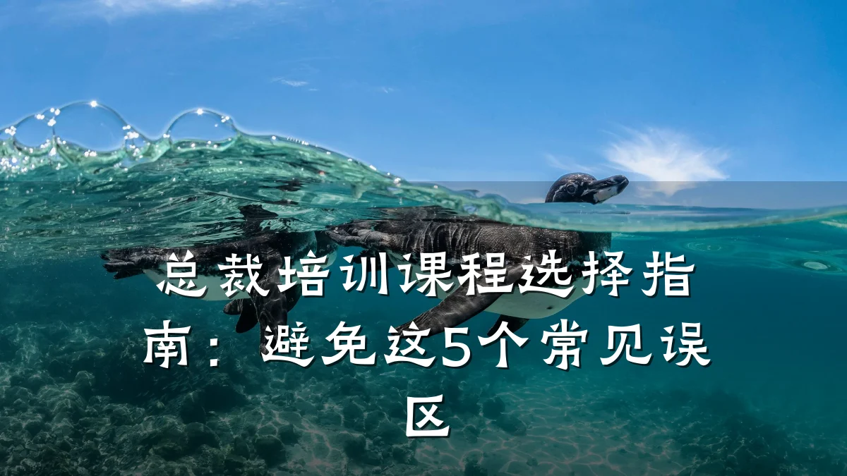 总裁培训课程选择指南:避免这5个常见误区