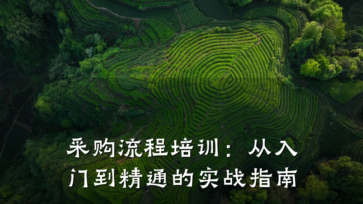 采购流程培训:从入门到精通的实战指南