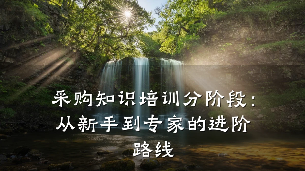 采购知识培训分阶段:从新手到专家的进阶路线