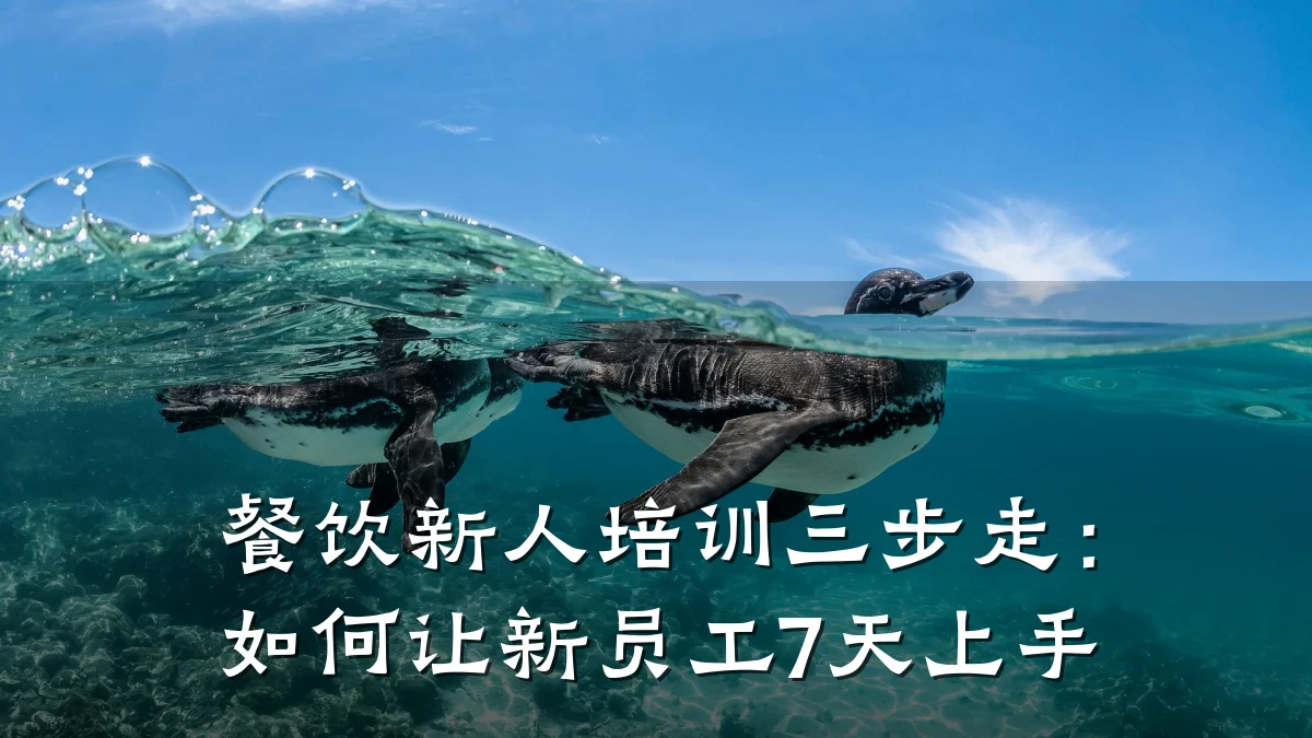 餐饮新人培训三步走:如何让新员工7天上手