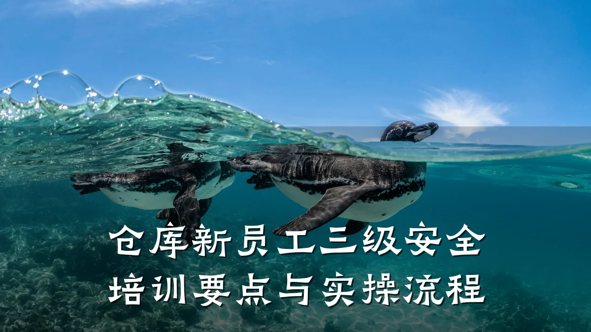 仓库新员工三级安全培训要点与实操流程
