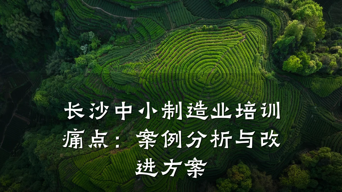 长沙中小制造业培训痛点:案例分析与改进方案