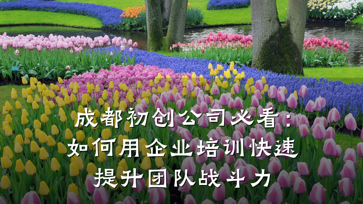 成都初创公司必看:如何用企业培训快速提升团队战斗力