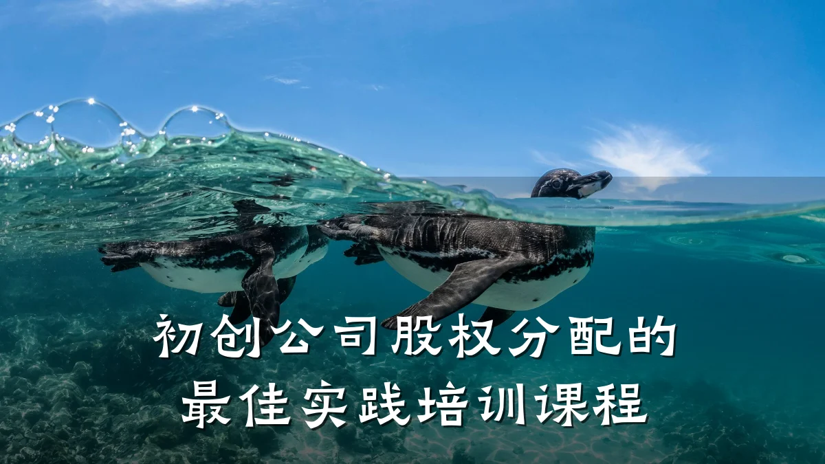 初创公司股权分配的最佳实践培训课程