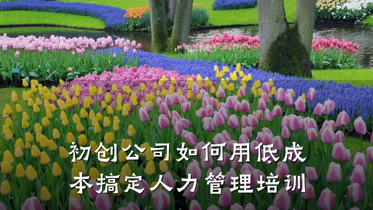 初创公司如何用低成本搞定人力管理培训