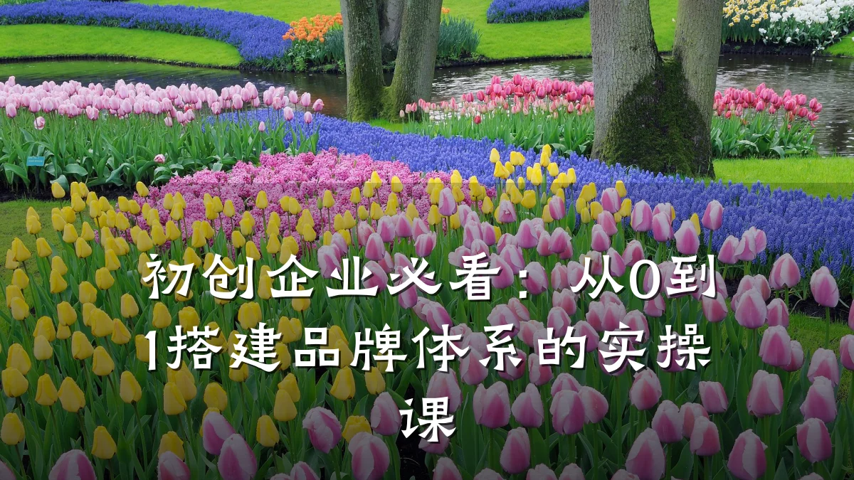 初创企业必看:从0到1搭建品牌体系的实操课